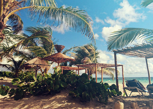 Palapa on the beach